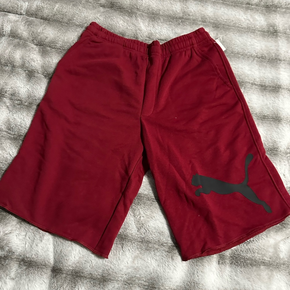 Puma Athletic Shorts Men’s Medium